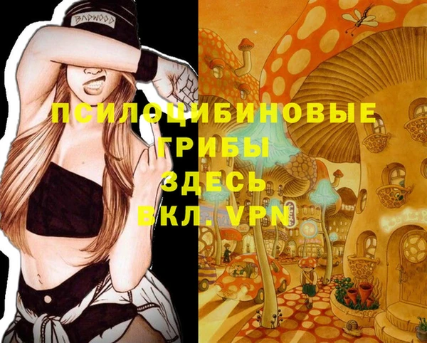 синтетический гашиш Алексин