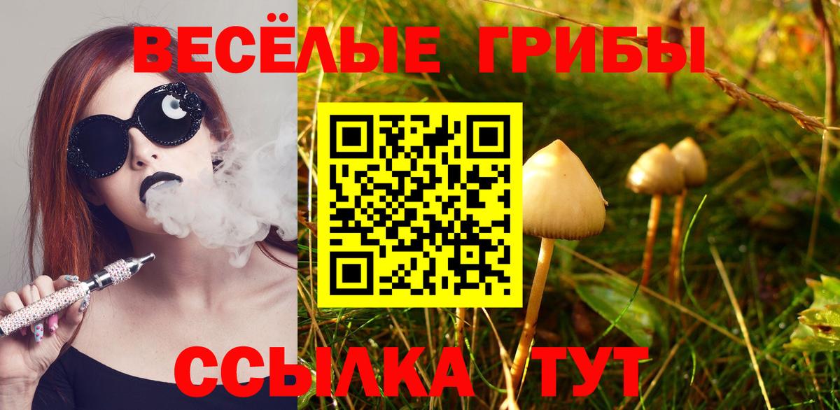 Псилоцибиновые грибы прущие грибы Анжеро-Судженск
